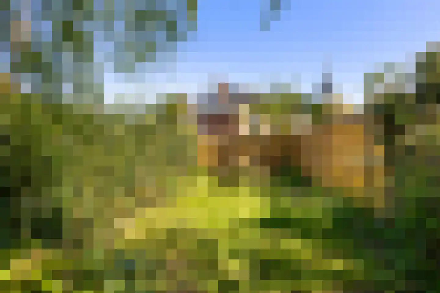 Oude Haven 14 Niezijl thumbnail 71