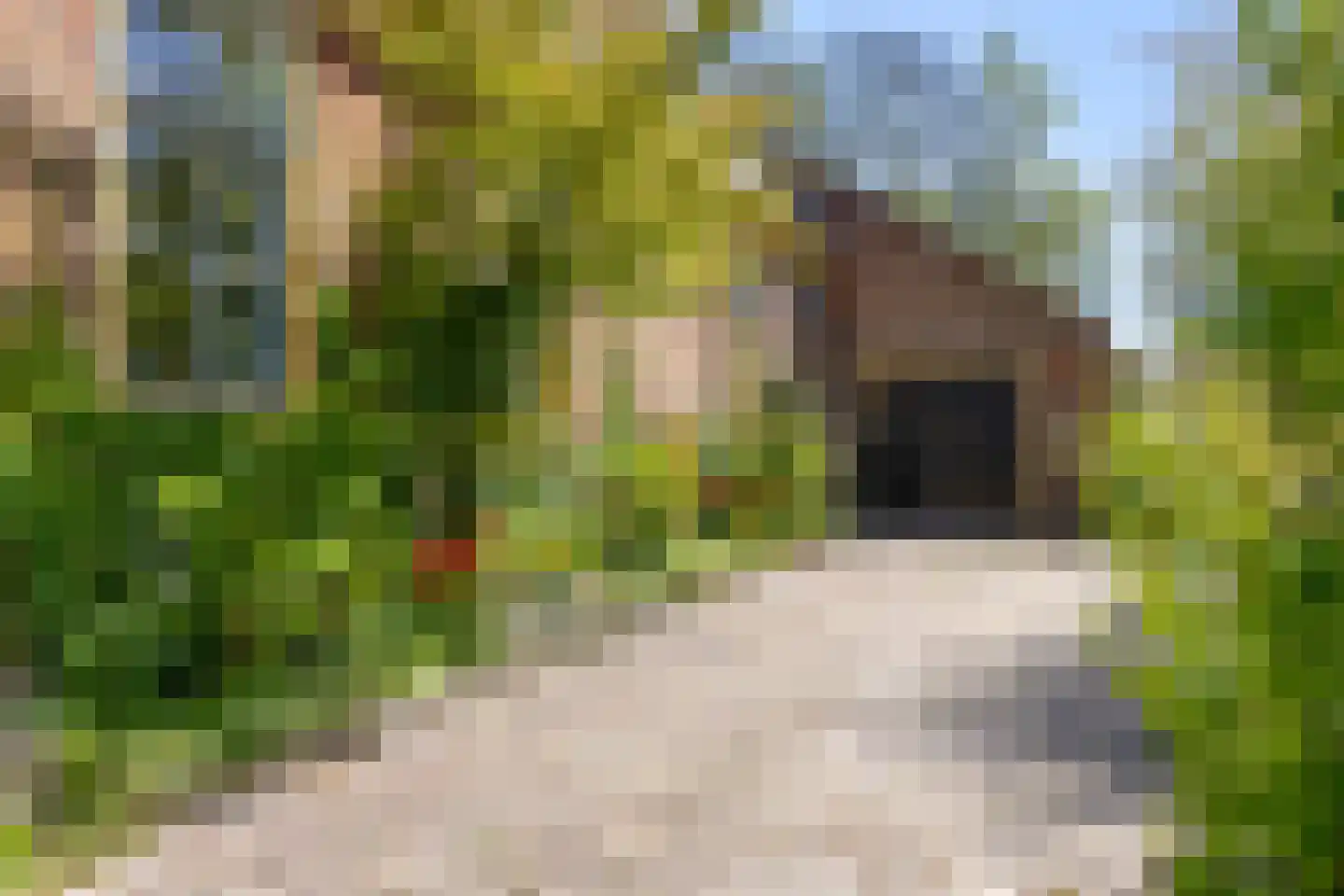Oude Haven 14 Niezijl thumbnail 73