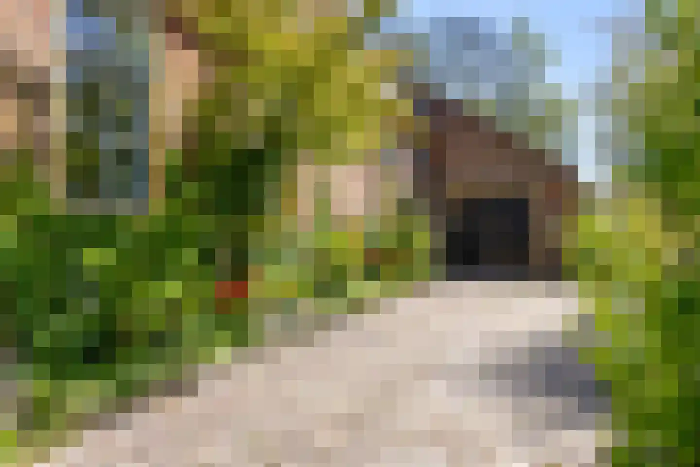 Oude Haven 14 Niezijl thumbnail 73