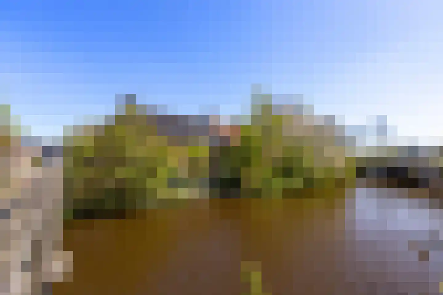 Oude Haven 14 Niezijl thumbnail 75