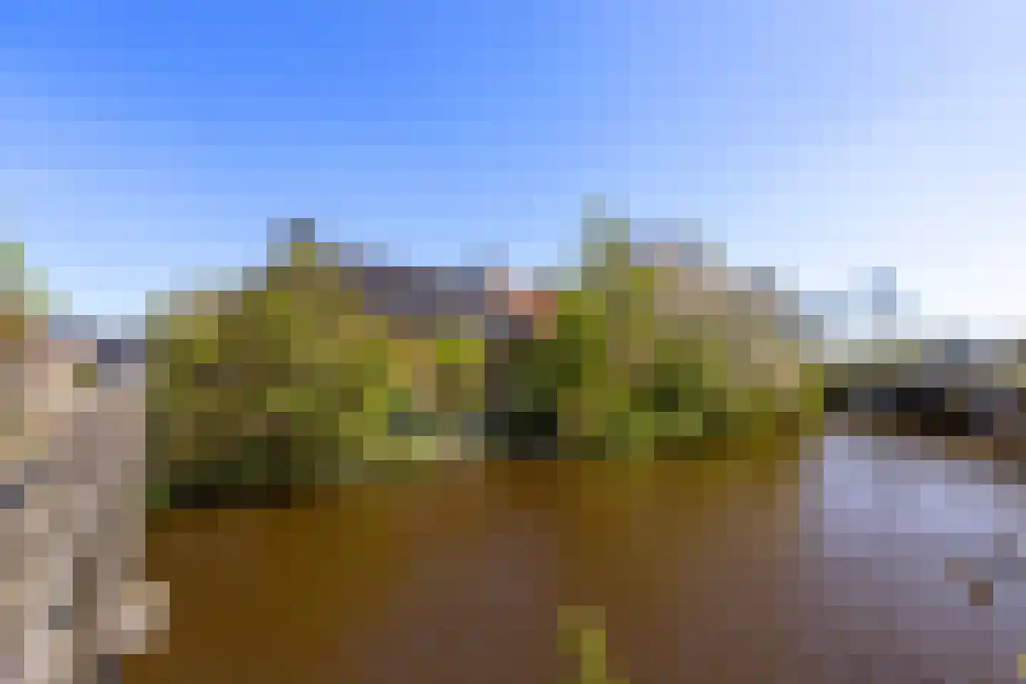 Oude Haven 14 Niezijl thumbnail 75