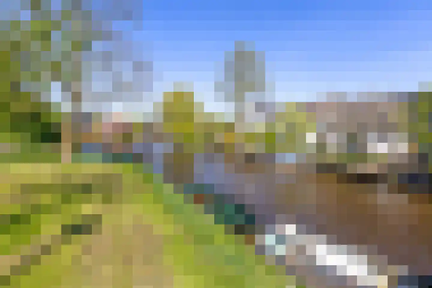 Oude Haven 14 Niezijl thumbnail 76