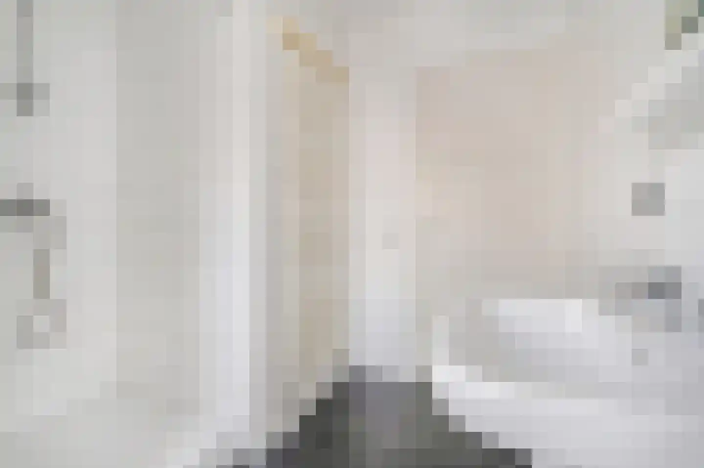 Oude Haven 17 Tiel thumbnail 15