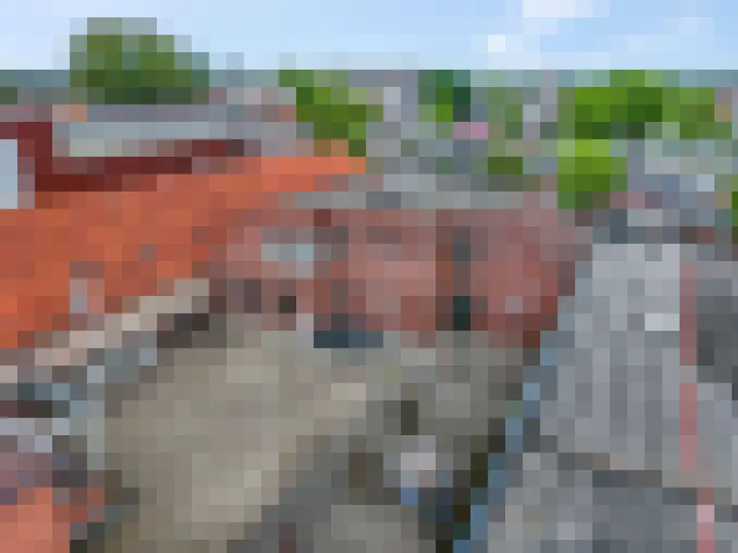 Oude Haven 17 Tiel thumbnail 4
