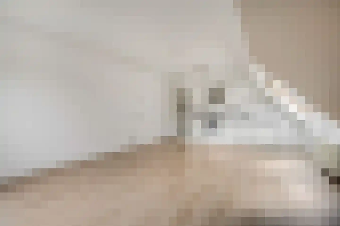 Oude Haven 17 Tiel thumbnail 8