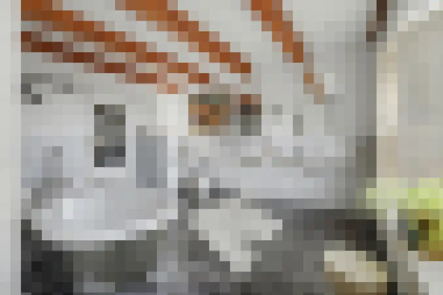 Oude Haven 18 Zierikzee thumbnail 23
