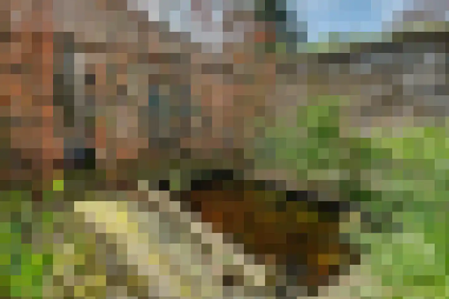 Oude Haven 18 Zierikzee thumbnail 37