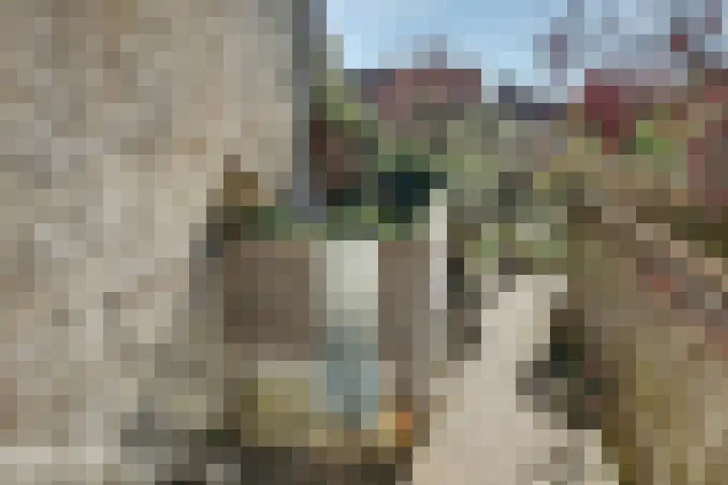Oude Haven 18 Zierikzee thumbnail 40