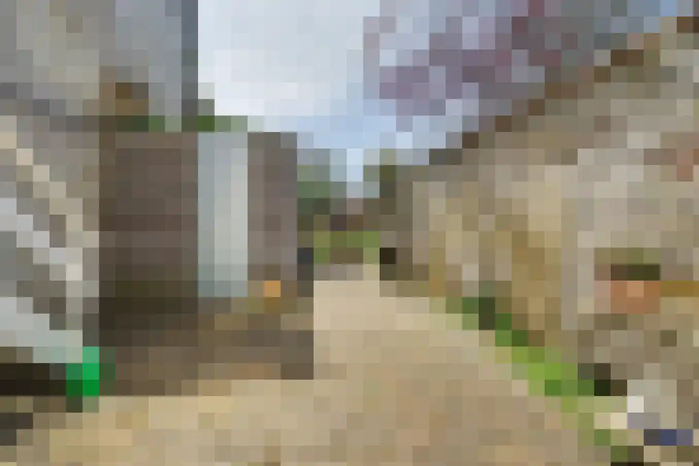 Oude Haven 18 Zierikzee thumbnail 41