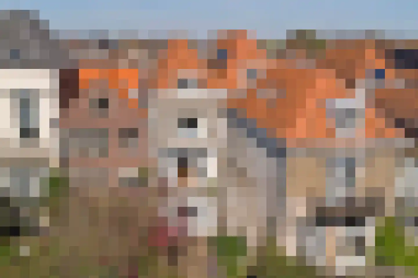 Oude Haven 18 Zierikzee thumbnail 51