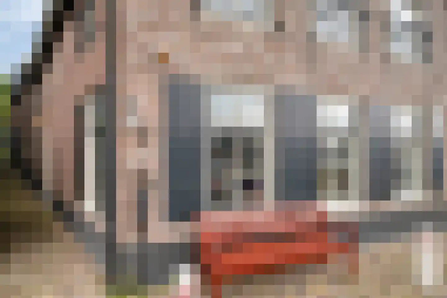 Oude Haven 19 Bunschoten-Spakenburg thumbnail 30