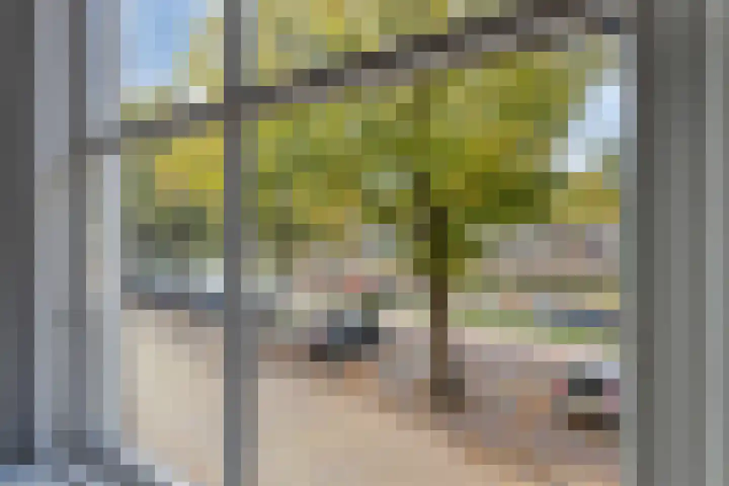 Oude Haven 19 Zierikzee thumbnail 32
