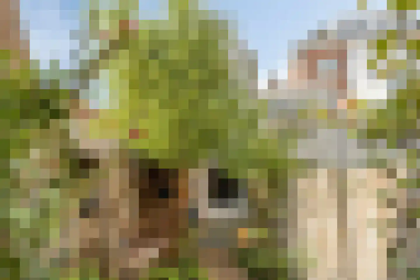 Oude Haven 19 Zierikzee thumbnail 65