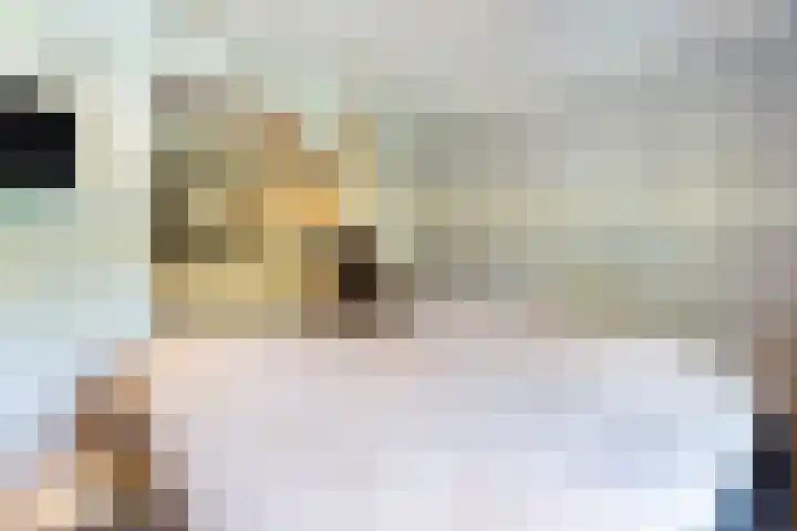 Oude Haven 2 Naarden thumbnail 22