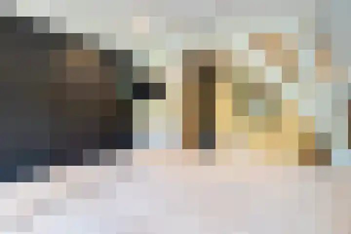 Oude Haven 2 Naarden thumbnail 23