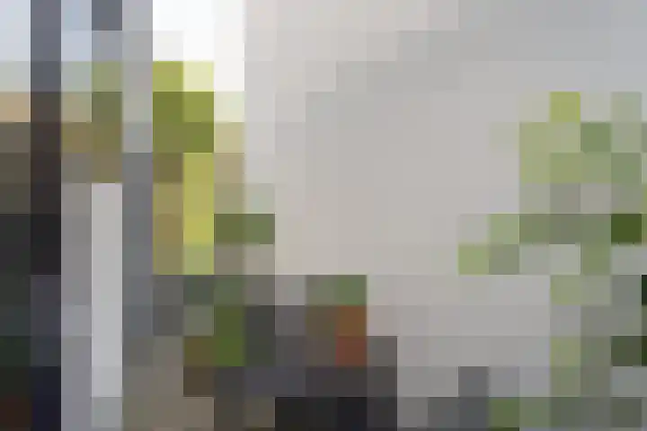 Oude Haven 2 Naarden thumbnail 28