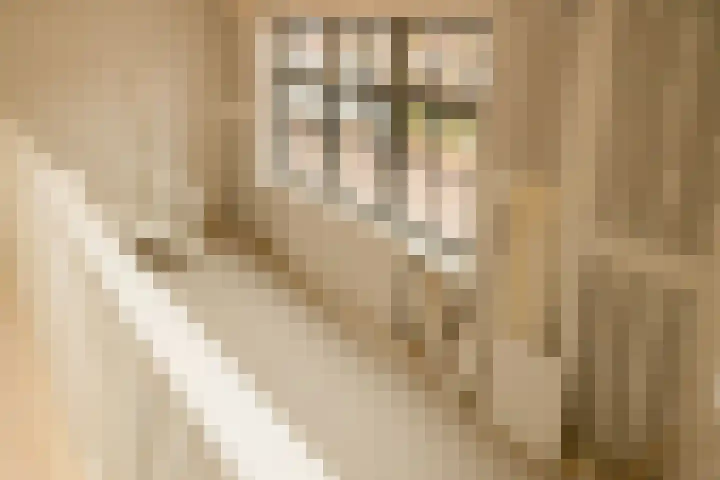 Oude Haven 2 Schoonhoven thumbnail 10