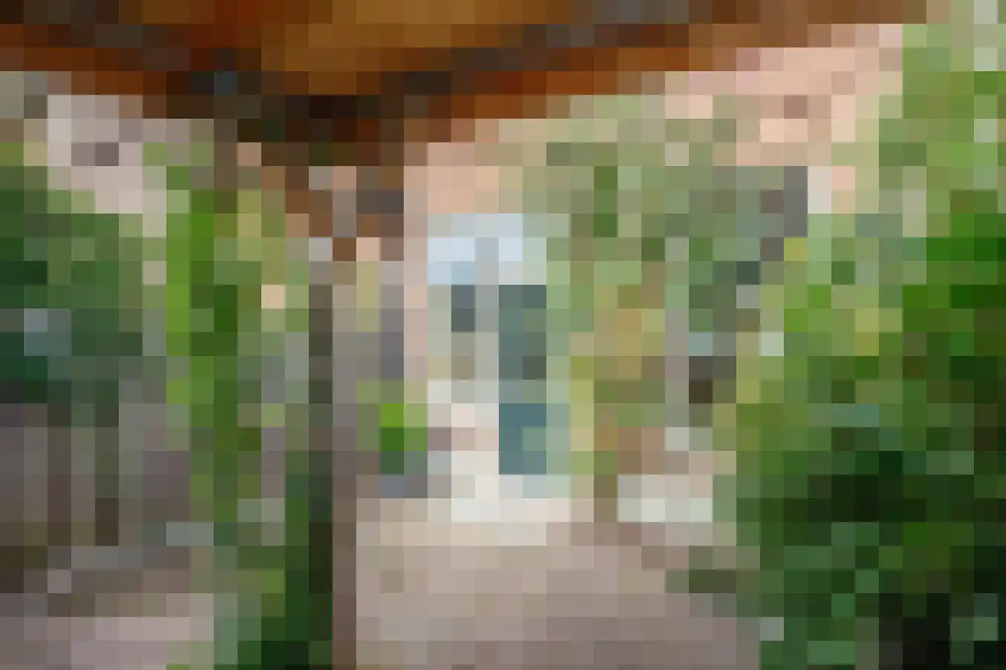 Oude Haven 29 Schoonhoven thumbnail 32