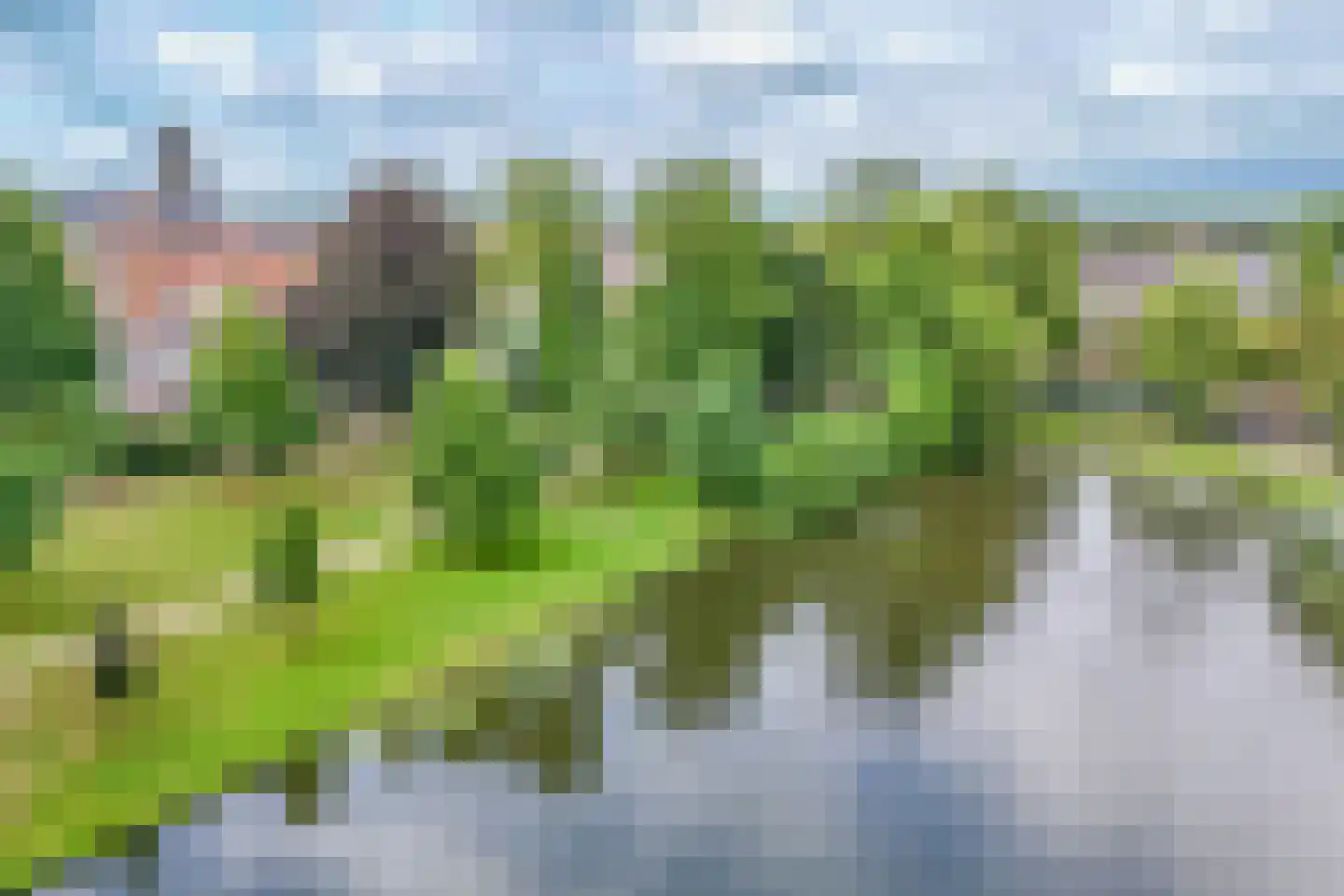 Oude Haven 29 Schoonhoven thumbnail 41