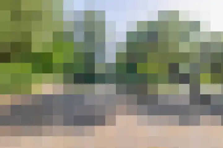 Oude Haven 3 Schoonhoven thumbnail 13