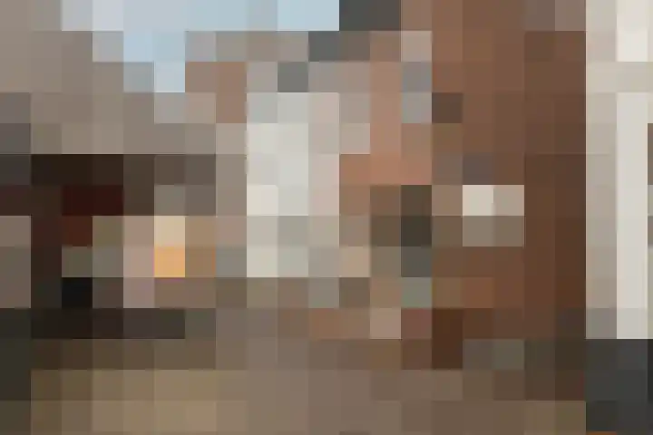Oude Haven 3 Schoonhoven thumbnail 14