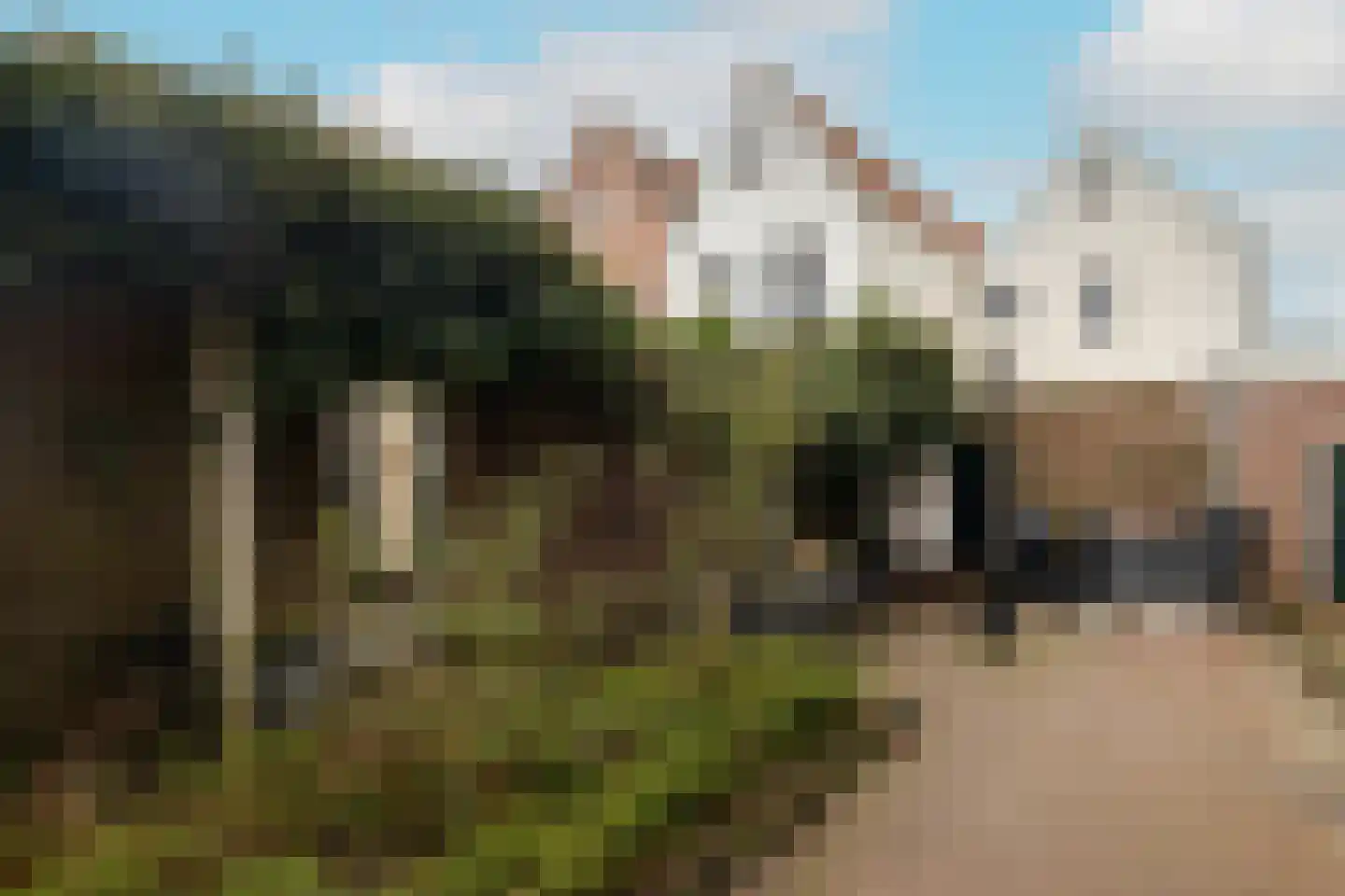 Oude Haven 3 Schoonhoven foto 2