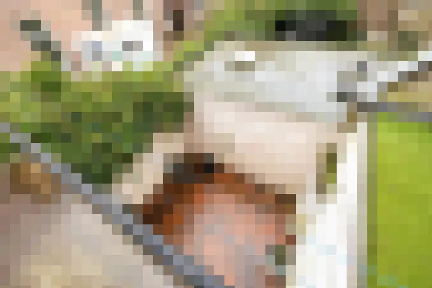 Oude Haven 3 Schoonhoven thumbnail 56