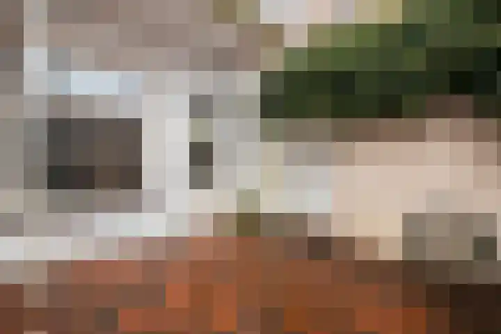 Oude Haven 3 Schoonhoven thumbnail 59