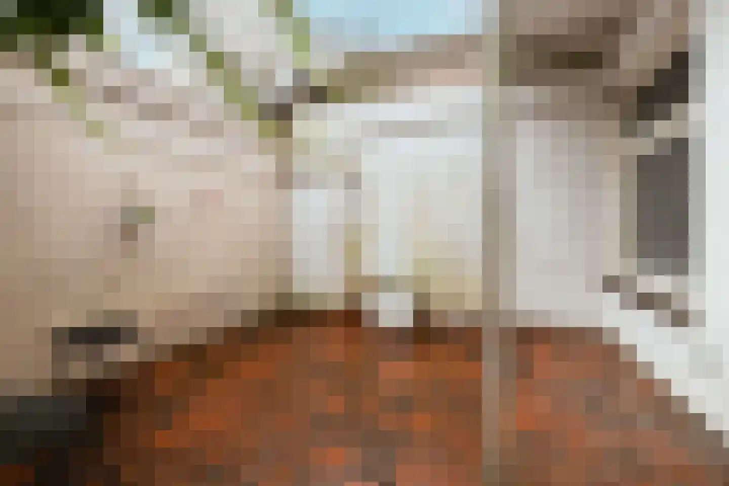 Oude Haven 3 Schoonhoven thumbnail 61