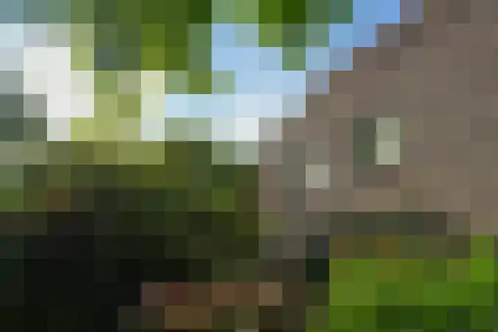 Oude Haven 3 Schoonhoven thumbnail 65