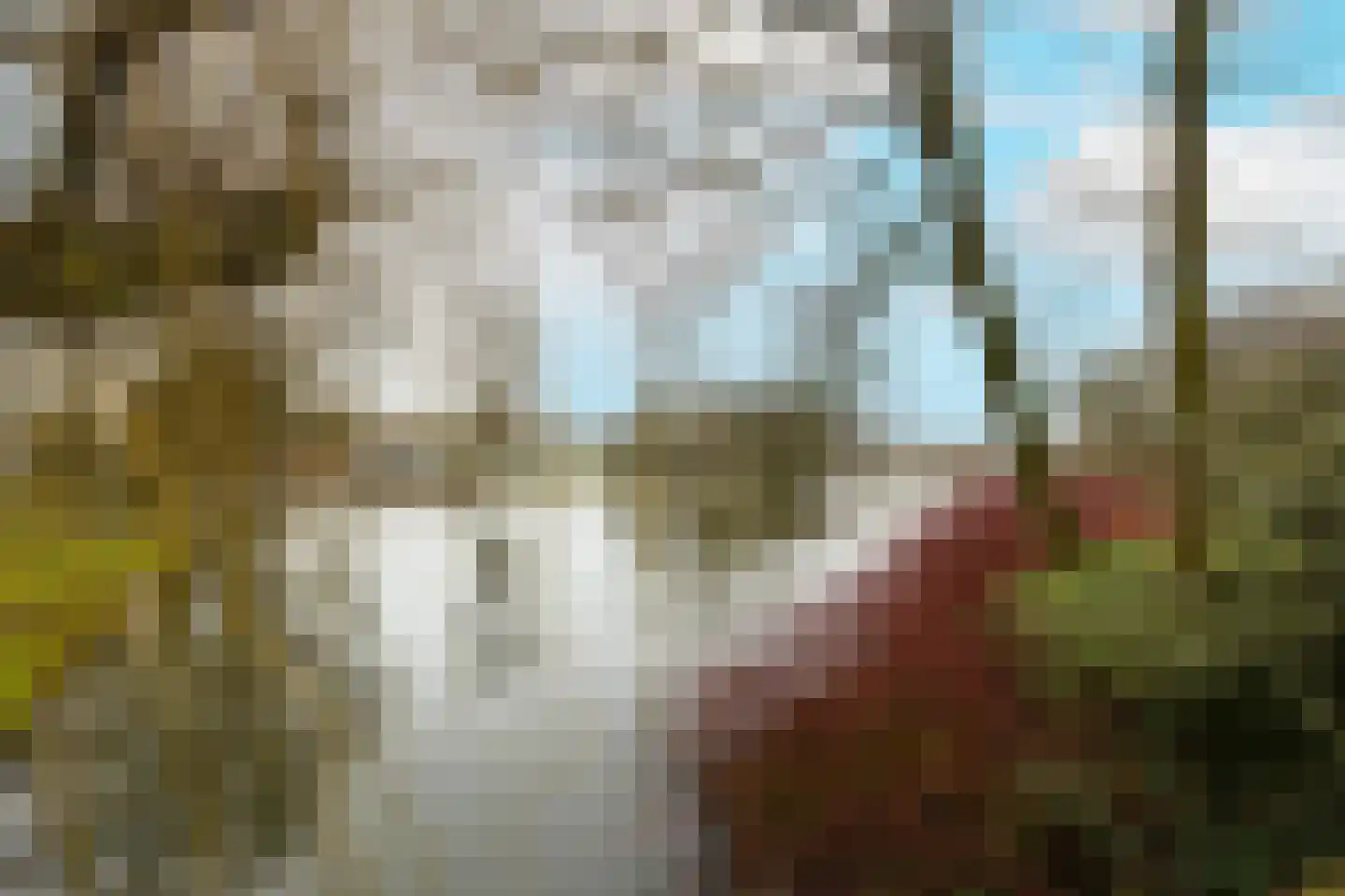 Oude Haven 3 Schoonhoven thumbnail 65