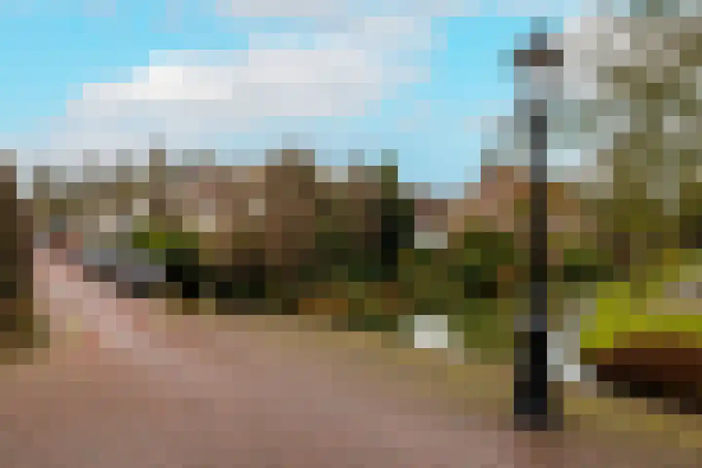 Oude Haven 3 Schoonhoven thumbnail 8