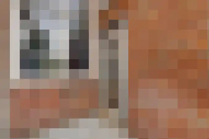 Oude Haven 30 Zierikzee thumbnail 22