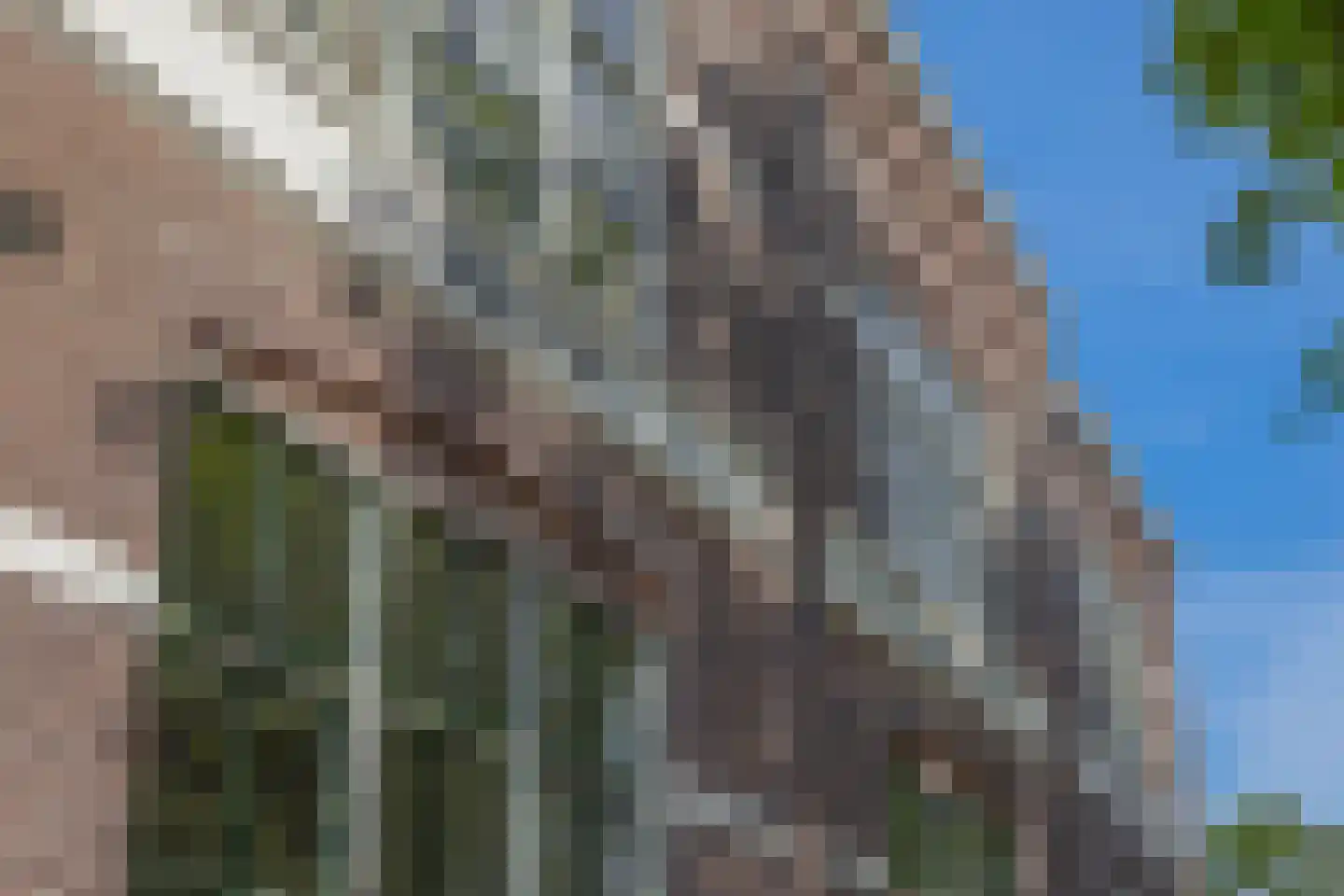 Oude Haven 36 c Schoonhoven thumbnail 12