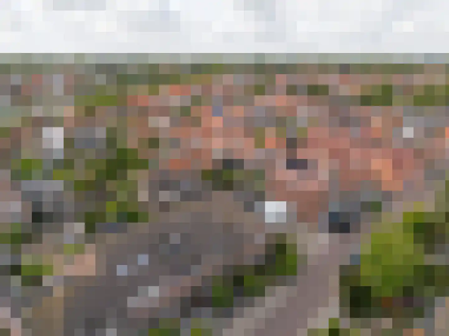 Oude Haven 45 Medemblik thumbnail 37