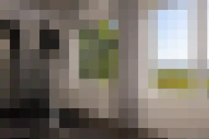 Oude Haven 57 Medemblik thumbnail 40