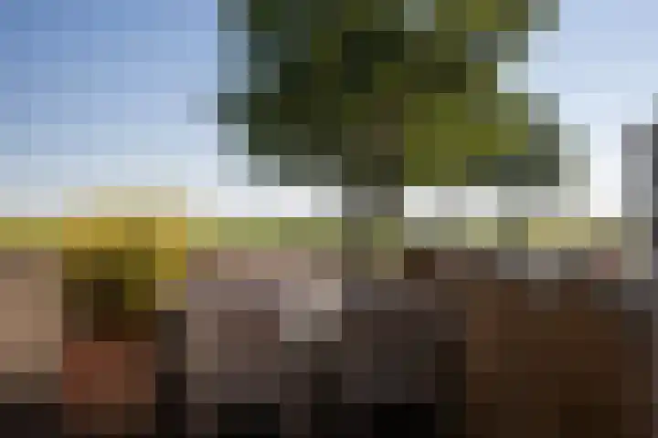 Oude Haven 57 Medemblik thumbnail 69