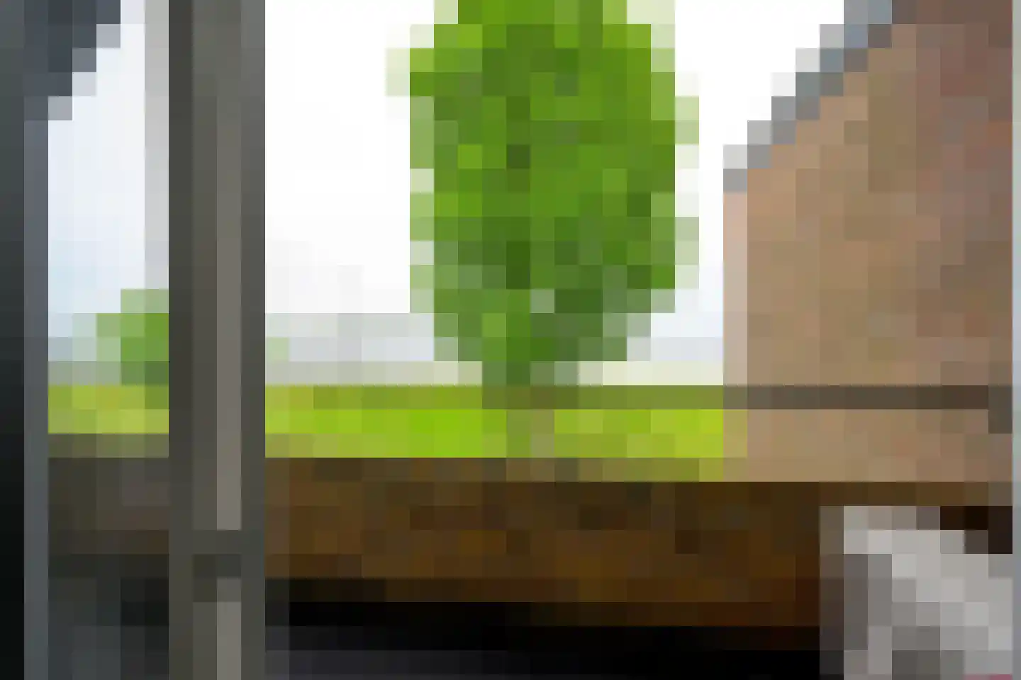 Oude Haven 69 Medemblik thumbnail 36