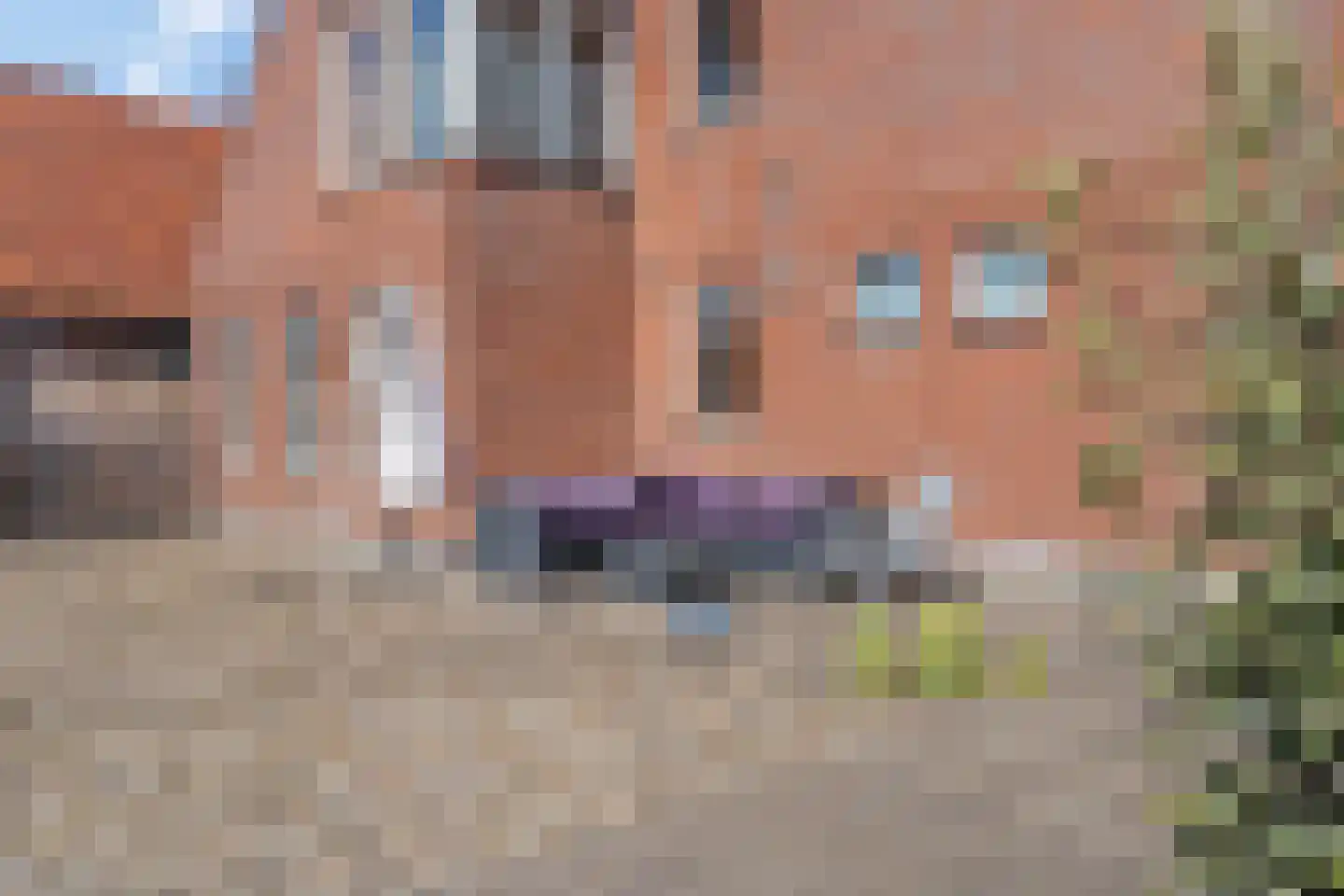 Oude Haven 7 Tiel thumbnail 21