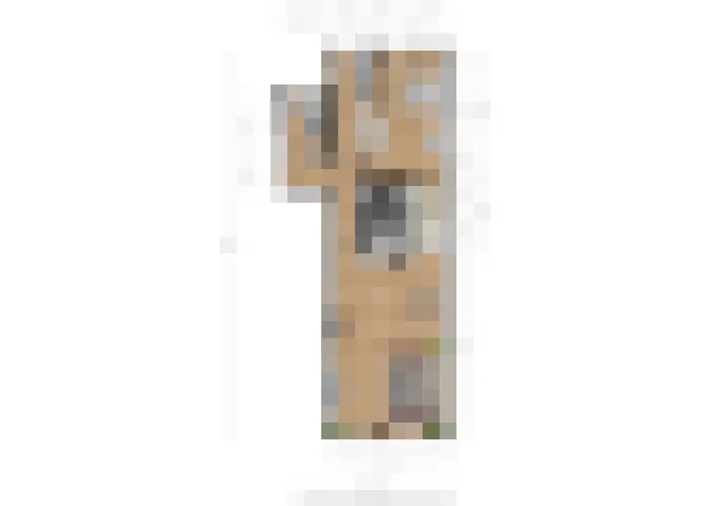 Oude Haven 7 Tiel thumbnail 26