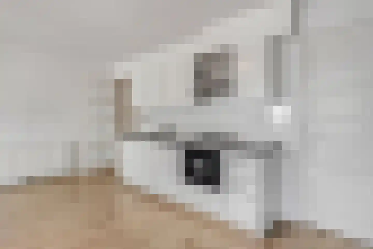 Oude Haven 7 Tiel thumbnail 9