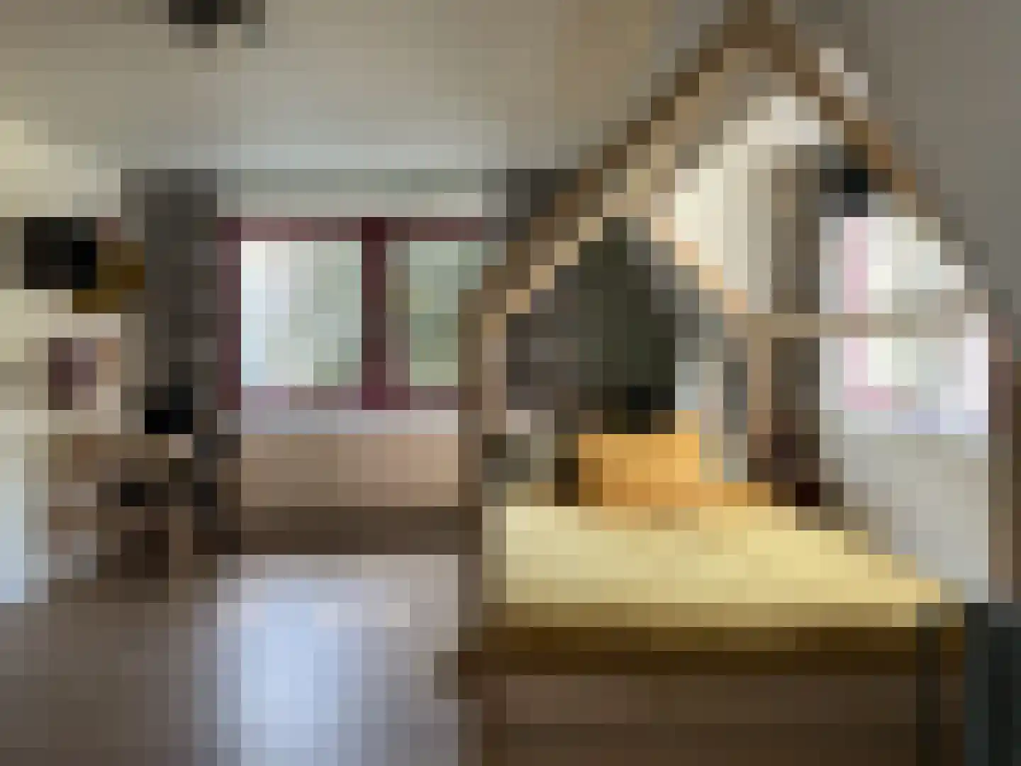 Oude Haven 8 Oostburg thumbnail 34