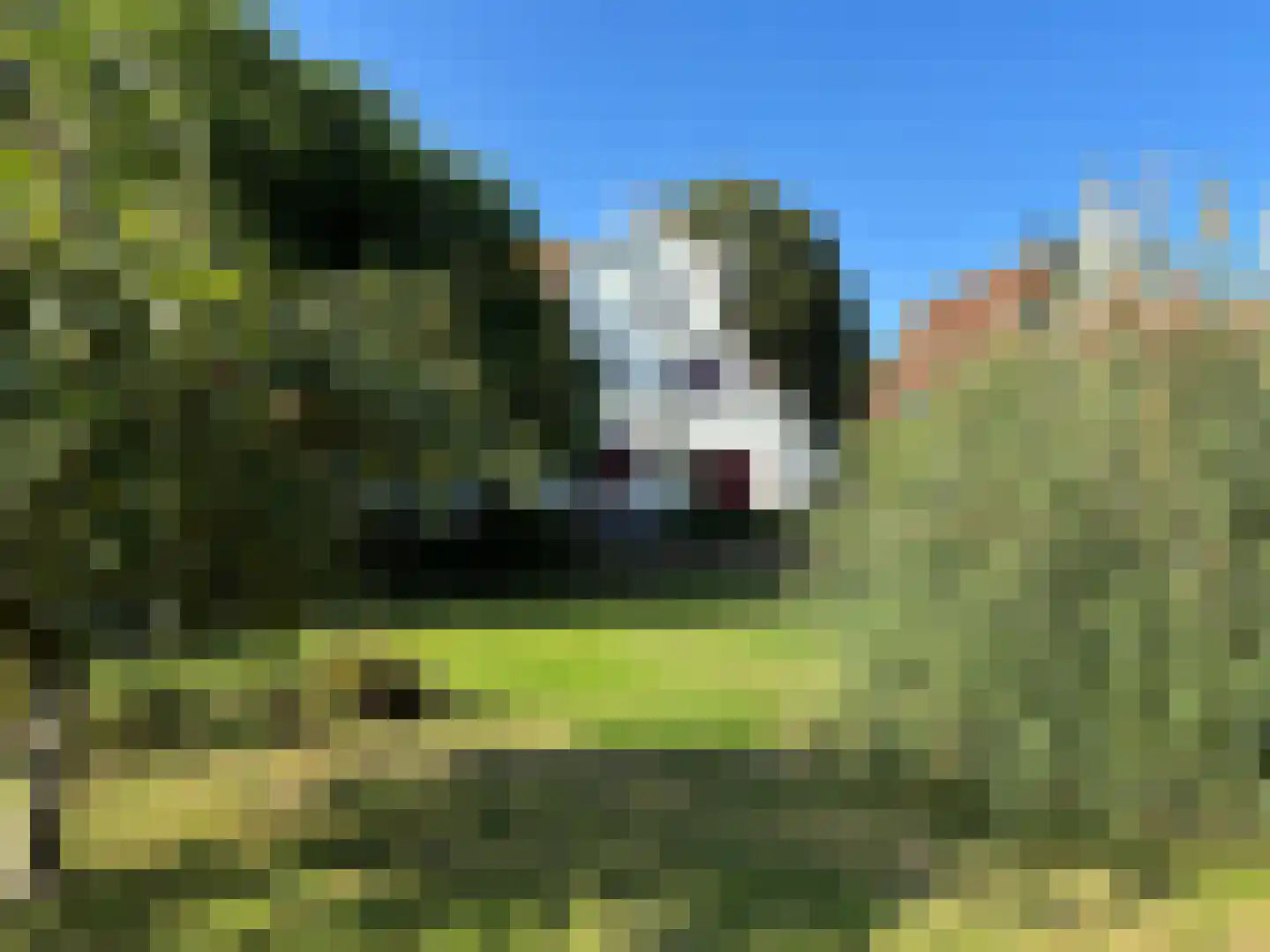Oude Haven 8 Oostburg thumbnail 52