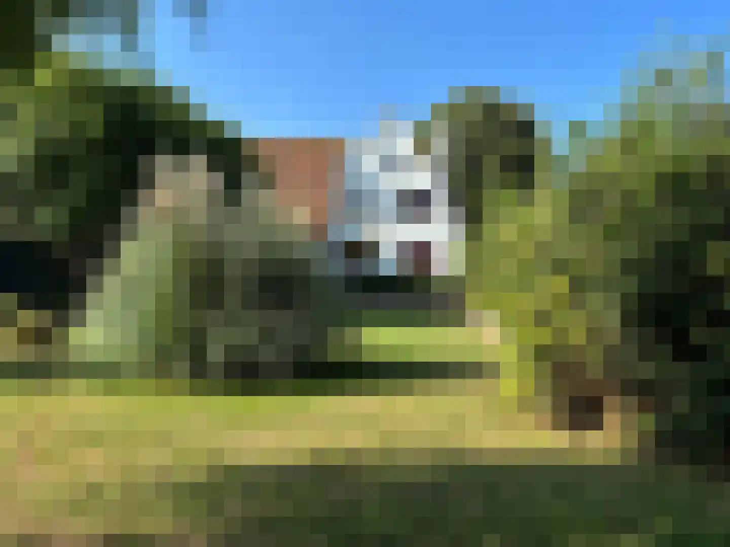 Oude Haven 8 Oostburg thumbnail 53
