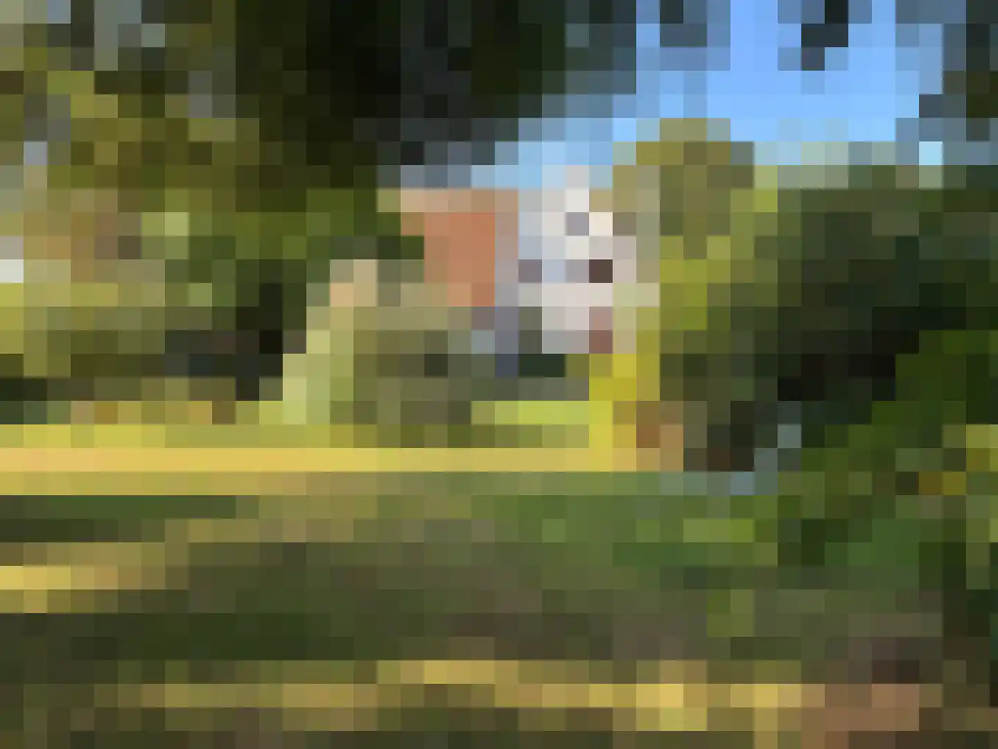 Oude Haven 8 Oostburg thumbnail 54