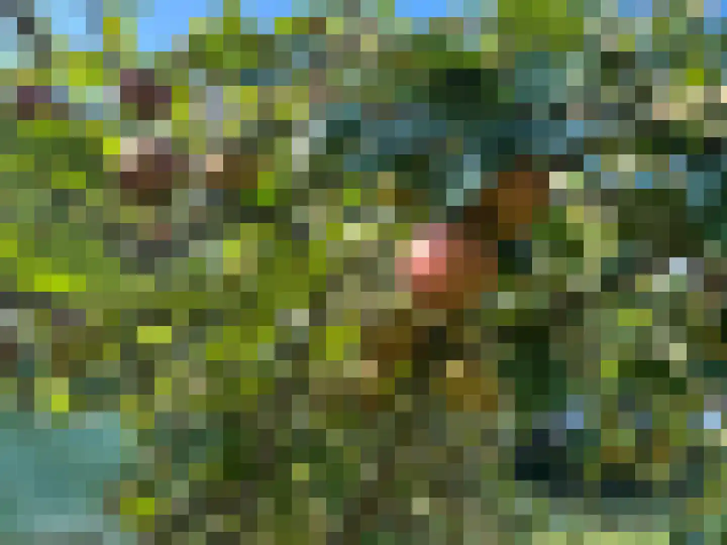 Oude Haven 8 Oostburg thumbnail 56