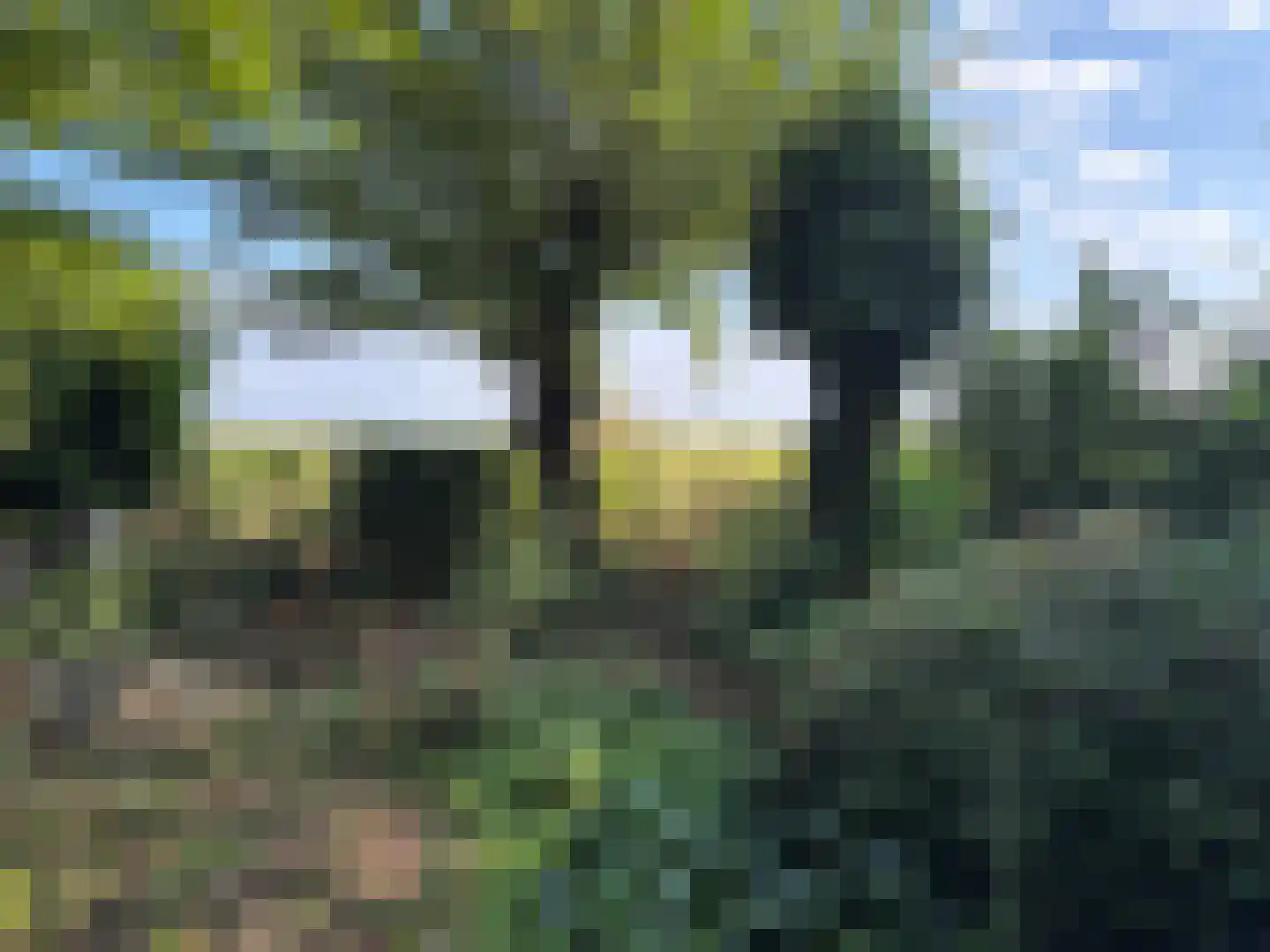 Oude Haven 8 Oostburg thumbnail 57