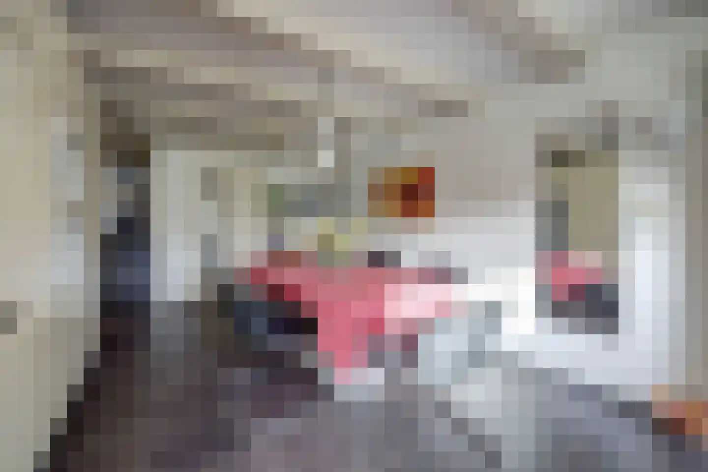 Oude Haven 8 Zierikzee thumbnail 21