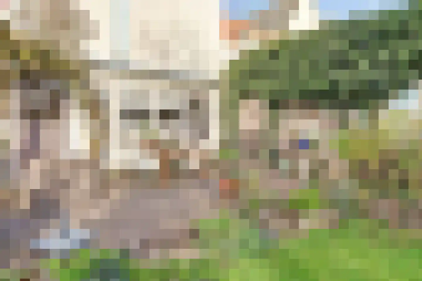 Oude Haven 8 Zierikzee thumbnail 39