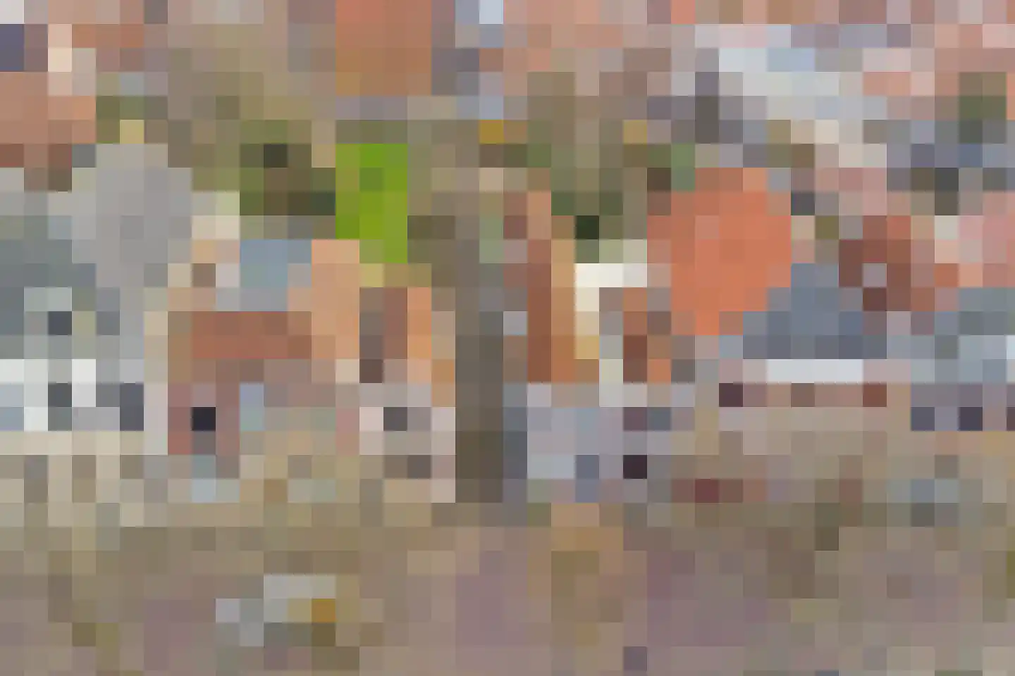 Oude Haven 8 Zierikzee thumbnail 50